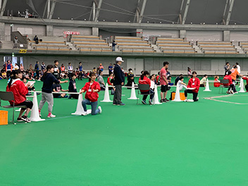 �������s�b�N2019�̗l�q12