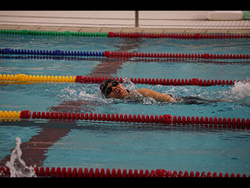 �������s�b�N2019�̗l�q2